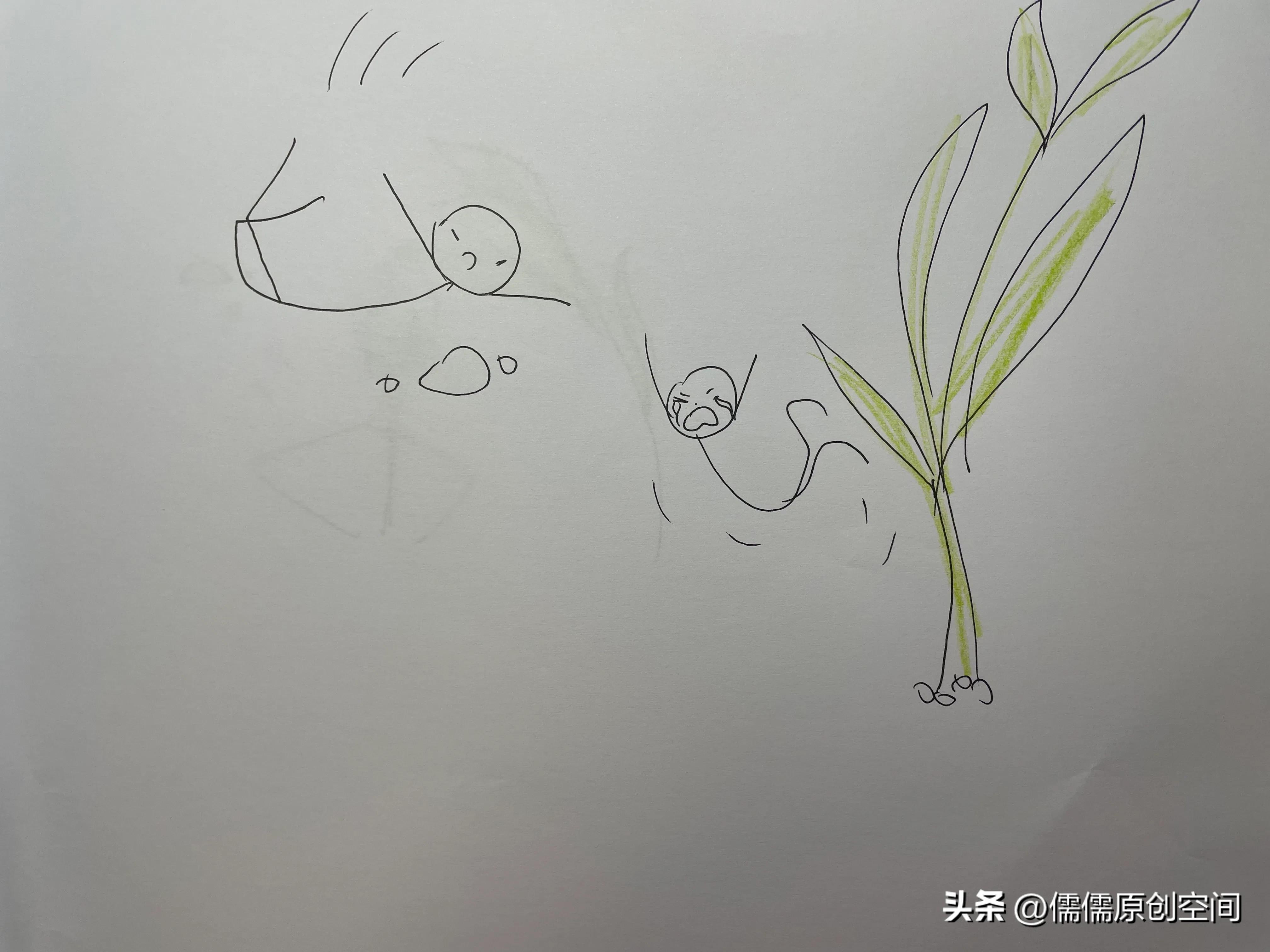 爱情的故事,花之恋的故事