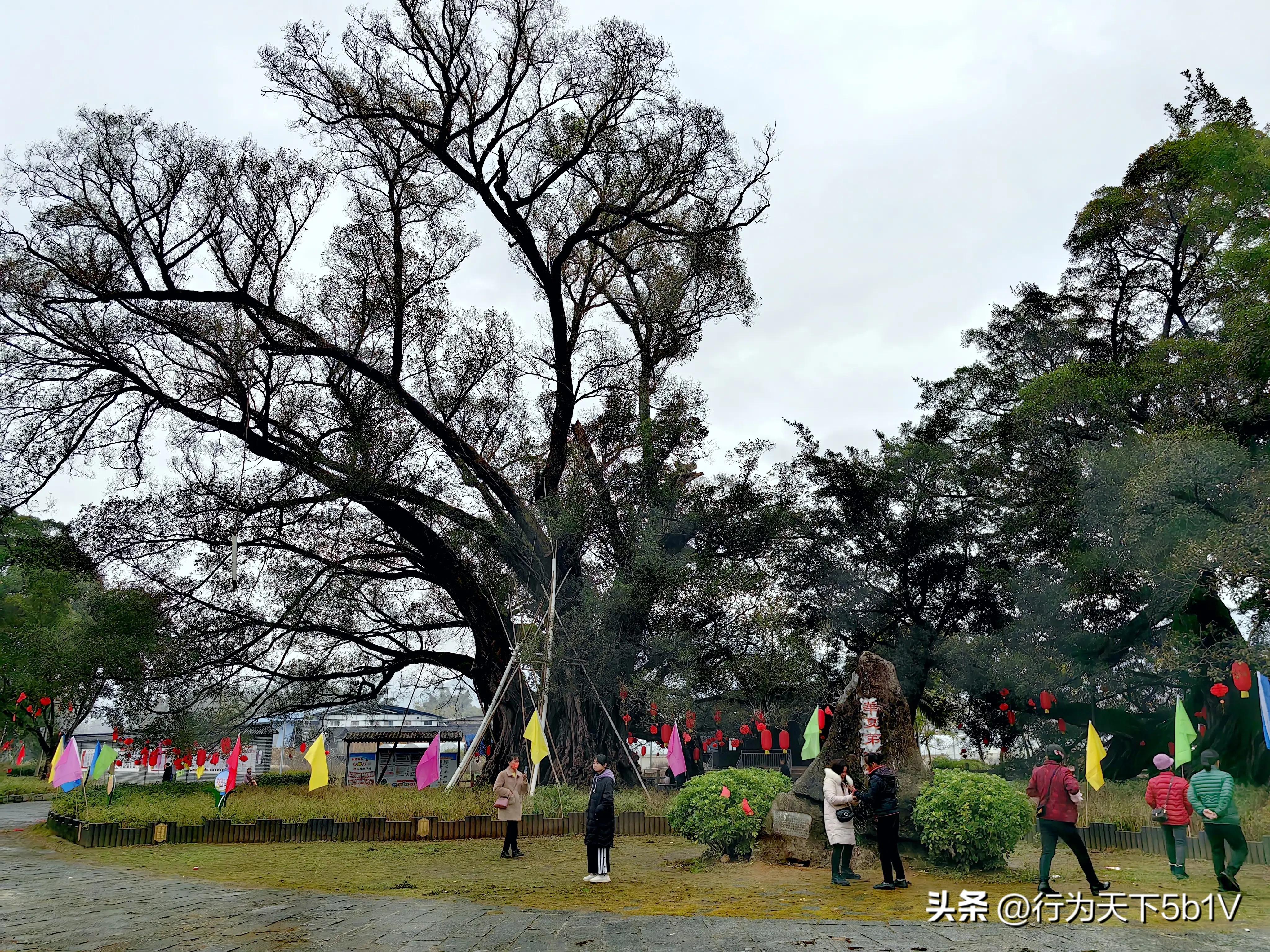 【平乐十里画廊鬼斧神工伟人石像】穿越唐*平宋**乐榕津千年古镇！