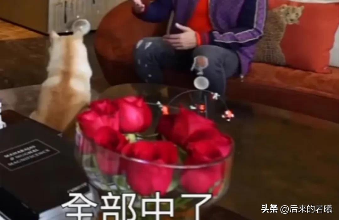 住4.3亿山顶豪宅，关之琳却衰老成这样