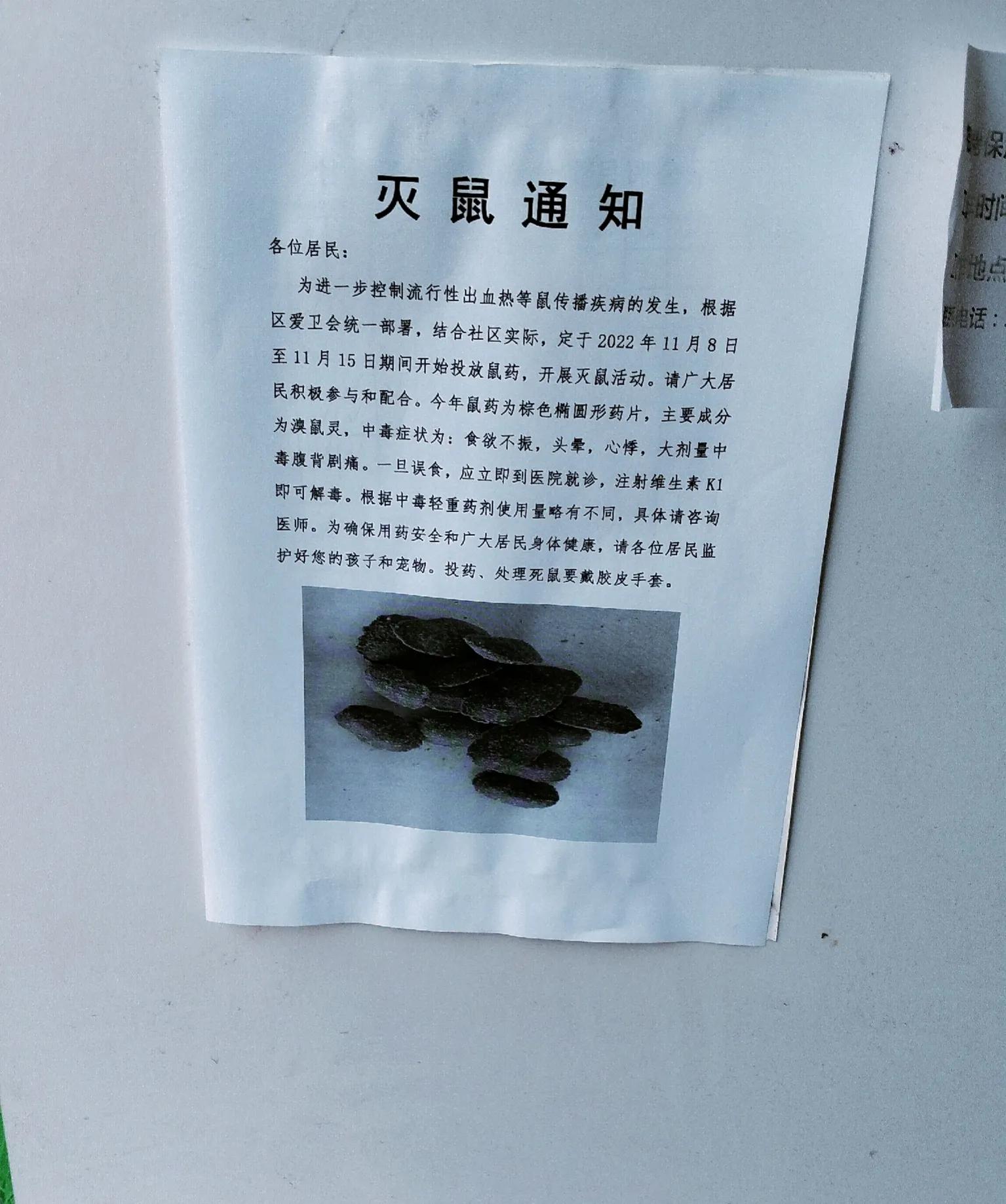 灭鼠记上下集完整版,灭鼠记电影