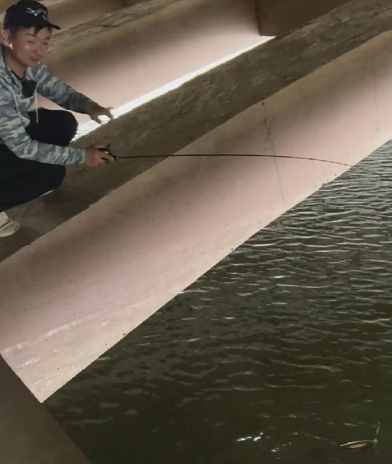 念溪582lc强度,念溪582lc能弹射吗