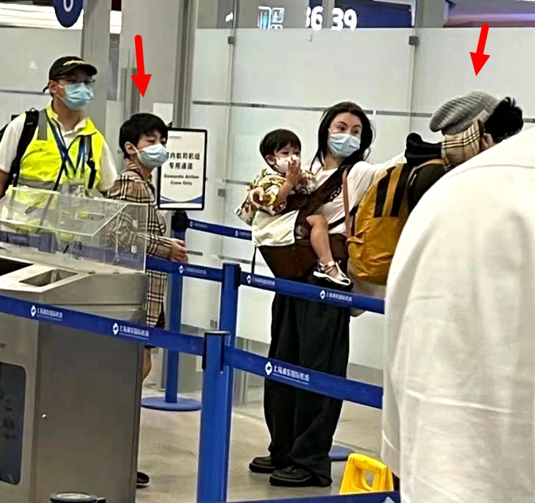 张柏芝被宠物狗咬脸,张柏芝小儿子受伤