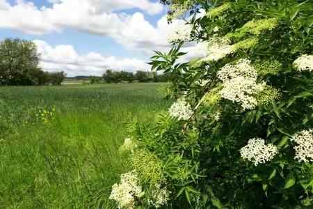 清明十首最好诗赏析,清明节诗词作品