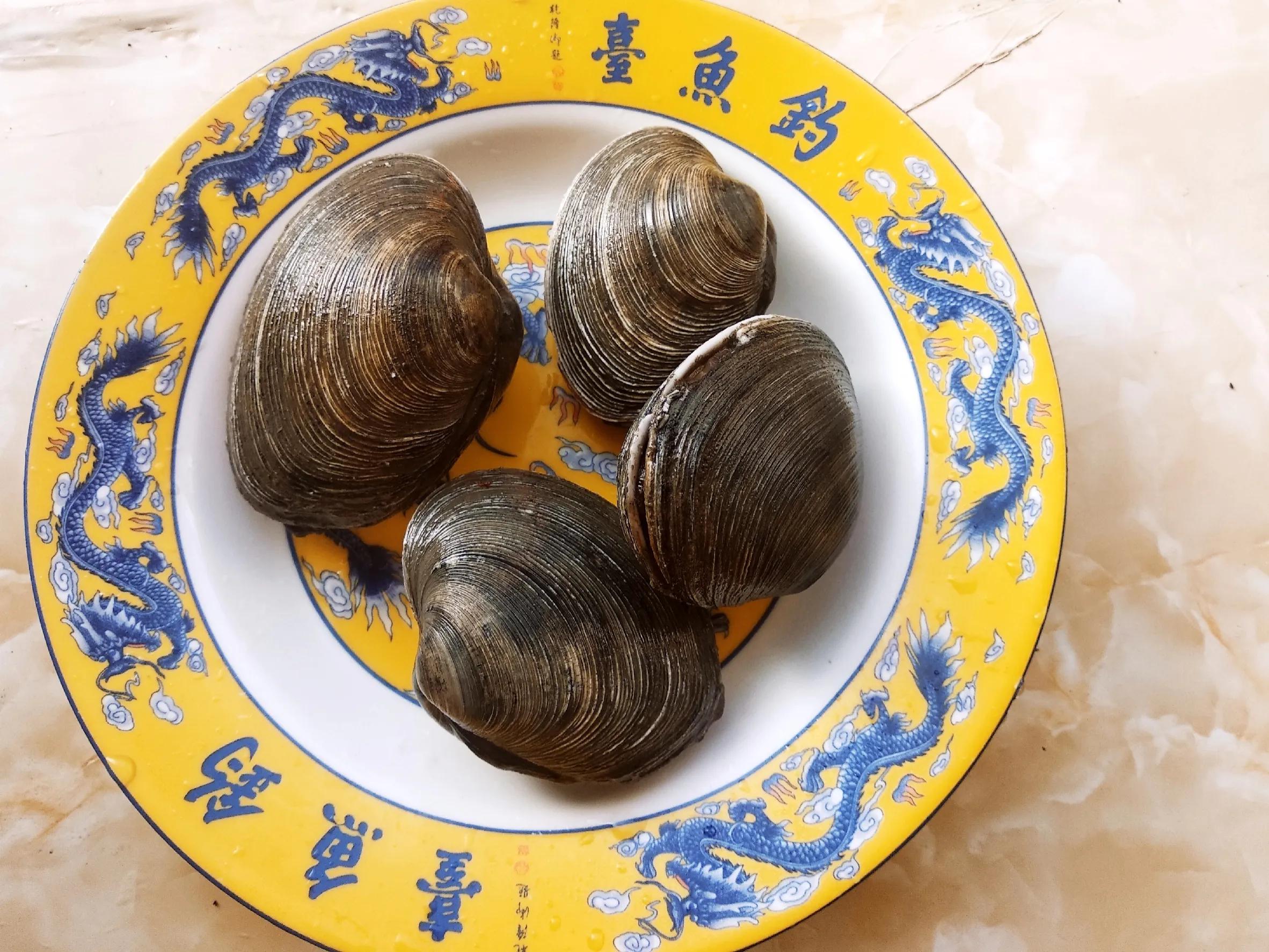 价格稍便宜一下的海鲜,常见的45种海鲜价格大全