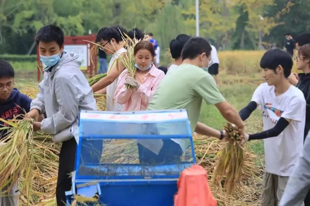 在成都读大学好就业吗,在成都读研究生是什么体验