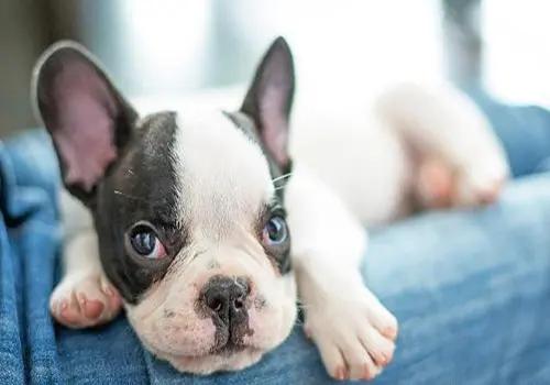 经期需要用护理液洗吗,经期护理知识