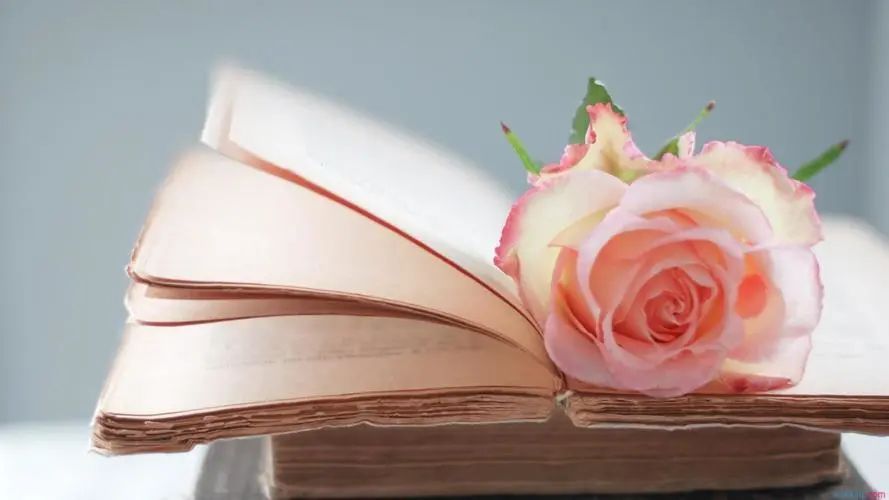 独宠一人幸福经典煽情说说,独爱宠你的霸气句子