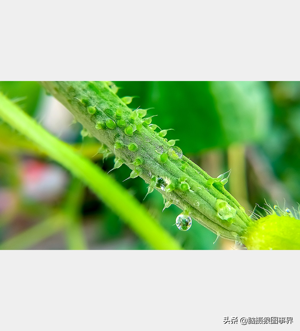 手机拍照不清晰怎么才能拍的好看,vivo手机拍照模糊怎样才能变清晰