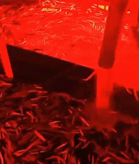 5天3起，福州又现漫天红光！怎么回事？气象局最新回应破疑义