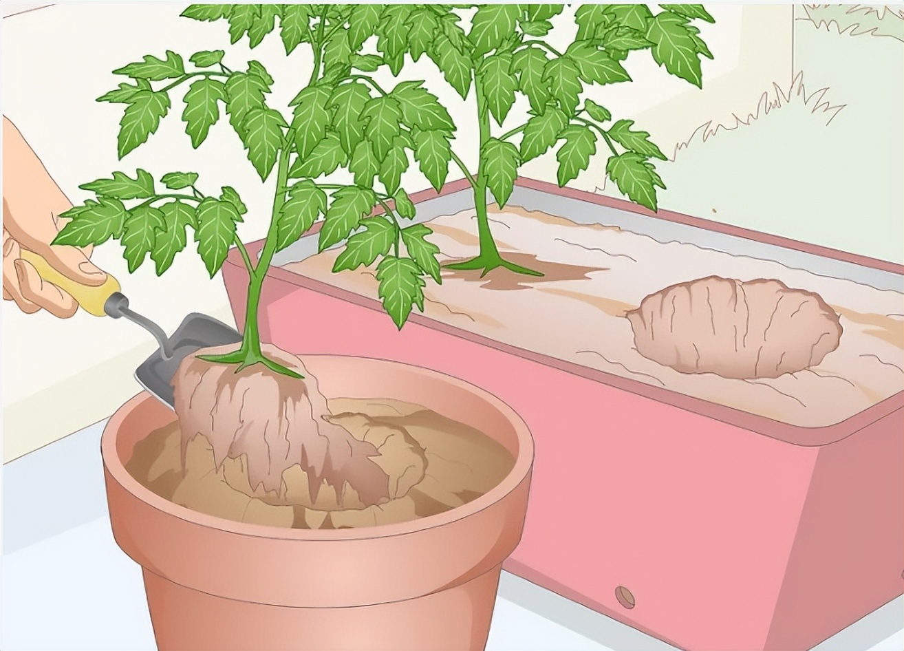 怎么消除厨房的小蚊子,怎么去除厨房异味和蚊虫