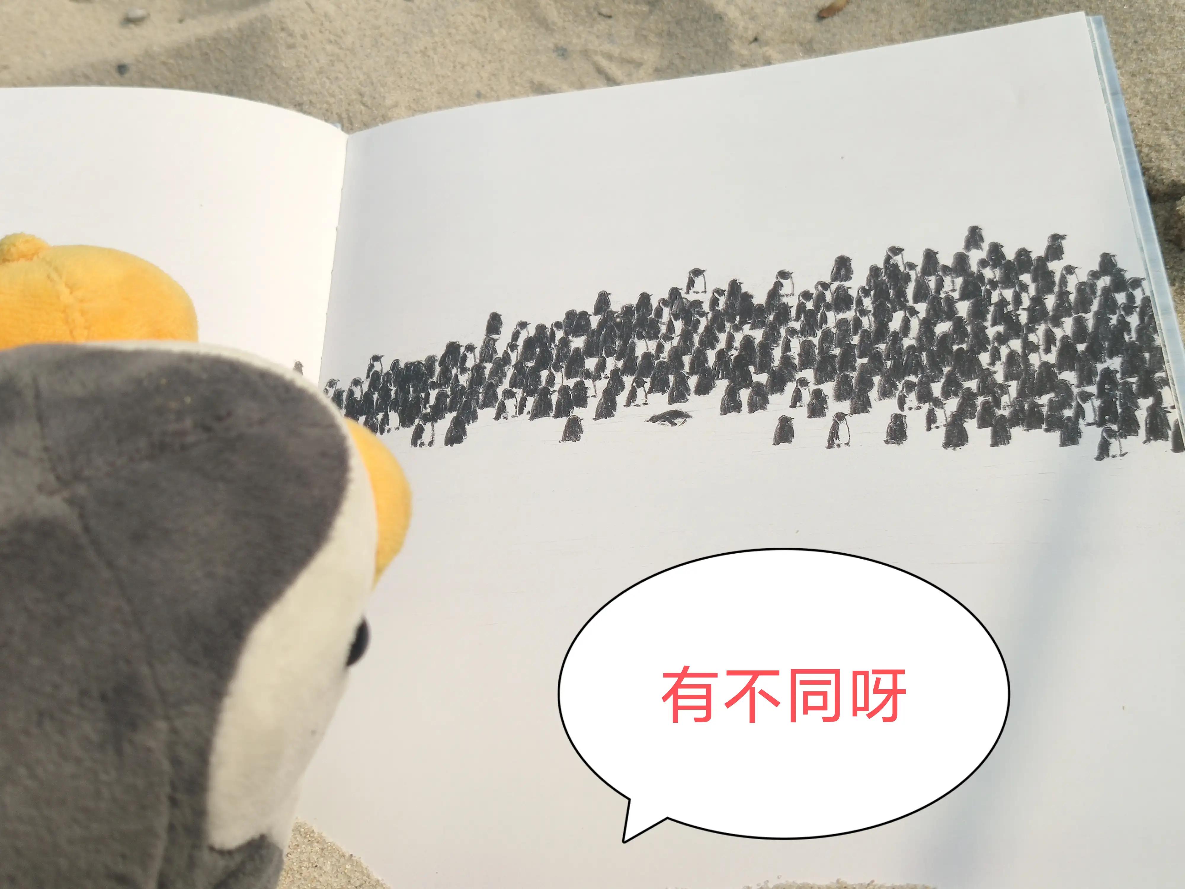 帝企鹅歌曲原唱,帝企鹅谈恋爱