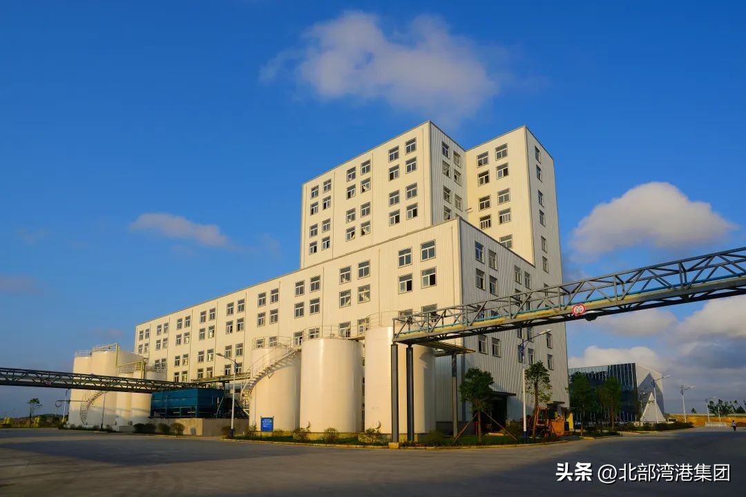 3家企业获全国表彰,3家企业入选省工业龙头企业名单