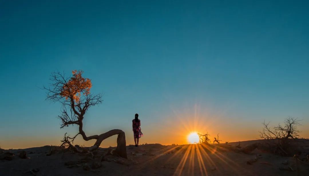 非常现实经典的十句话,经典十句话适合所有人