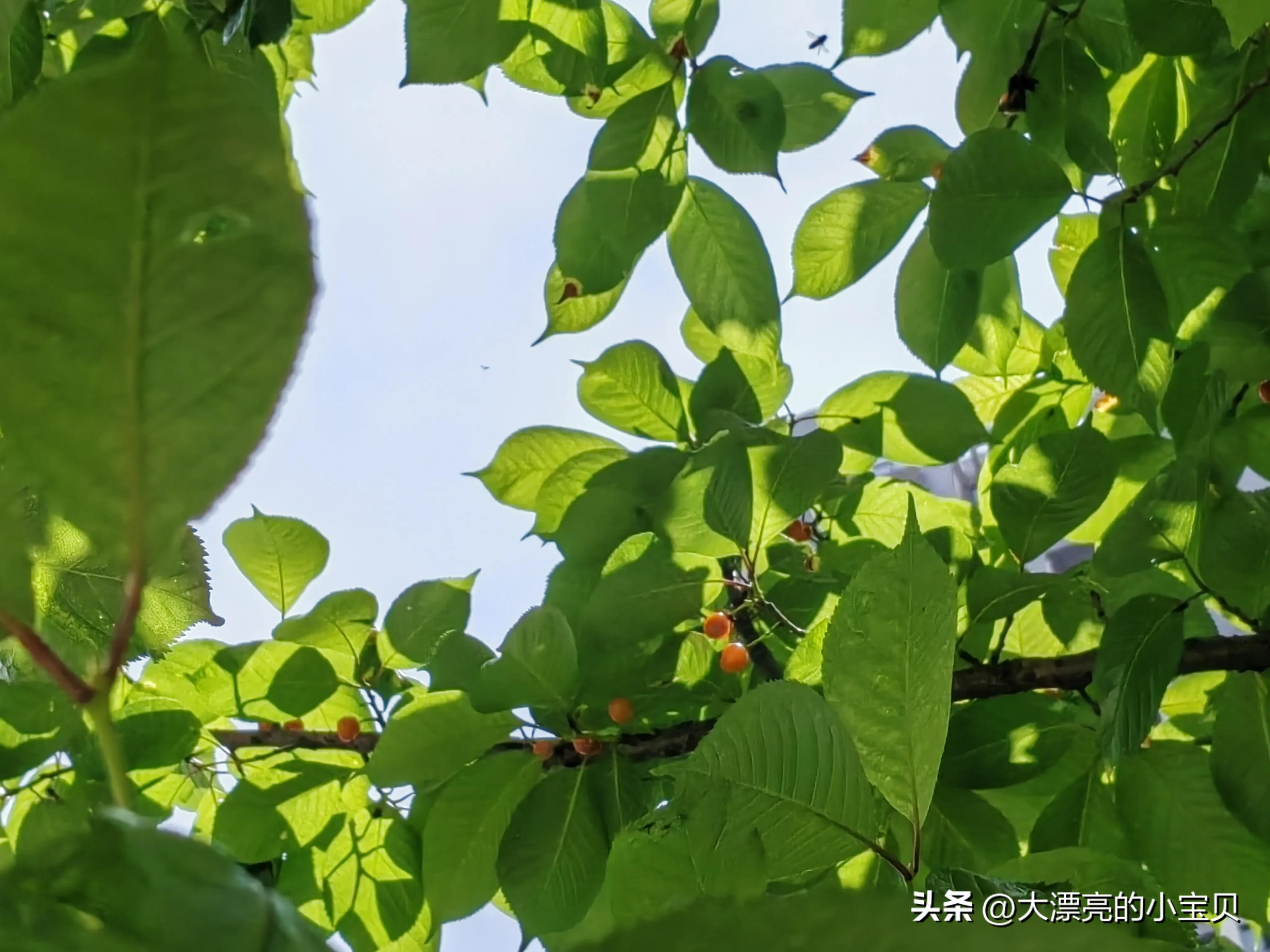 什么样的关系能称得上是朋友,什么样的关系才算熟