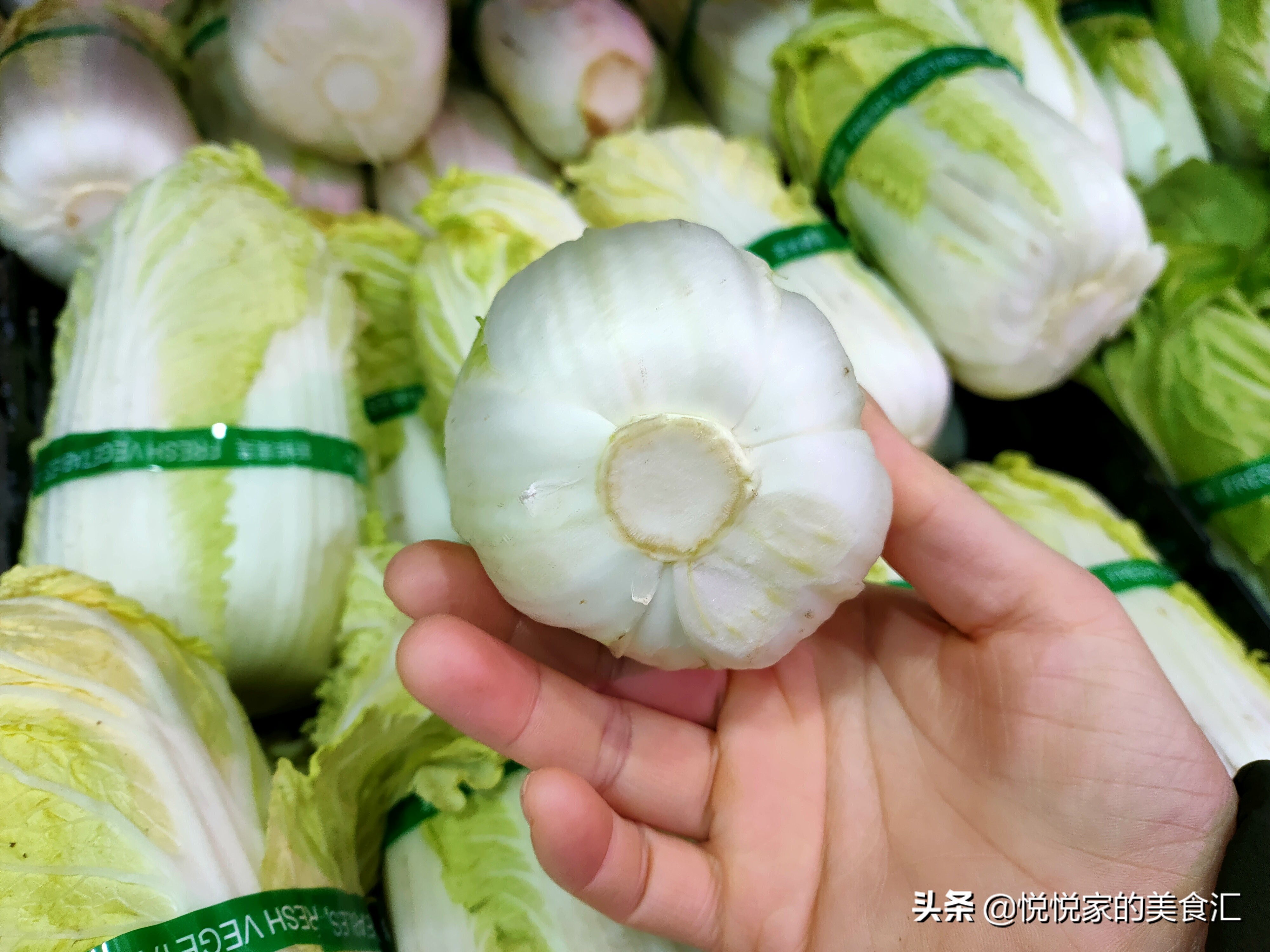 娃娃菜价格一般多少,娃娃菜怎么挑选