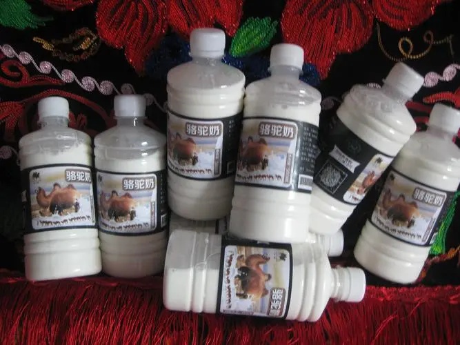 牛奶羊奶骆驼奶哪种含乳糖低,牛奶羊奶骆驼奶哪个营养价值最高