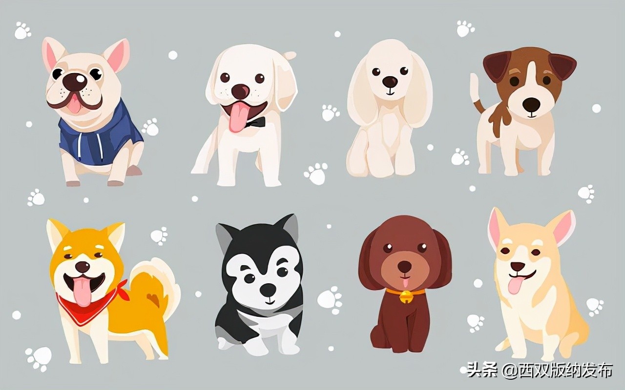 把爱带回家丨让领养代替购买，给它们一个温暖的家