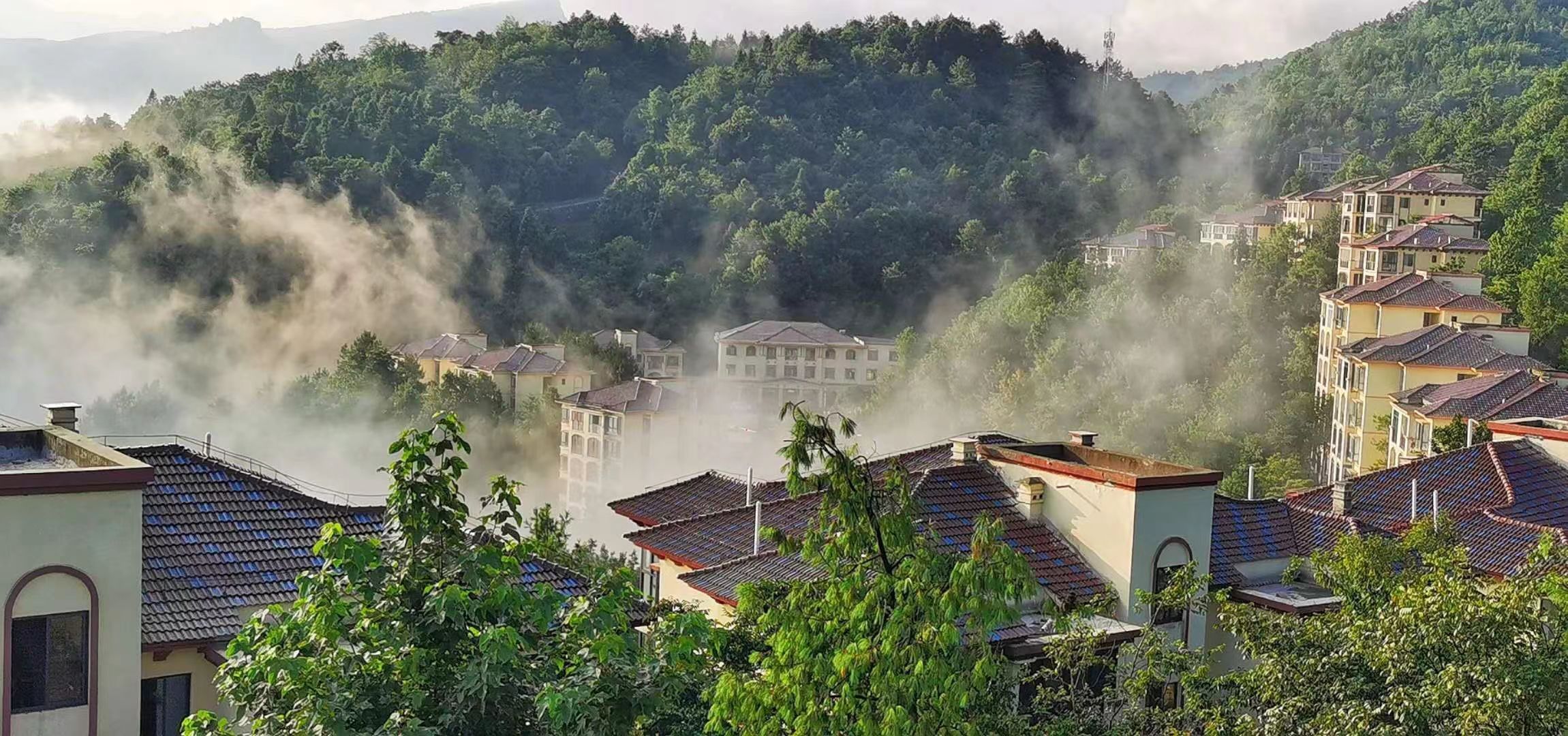 森林中空气负离子浓度有什么作用,原始森林空气中负氧离子指数