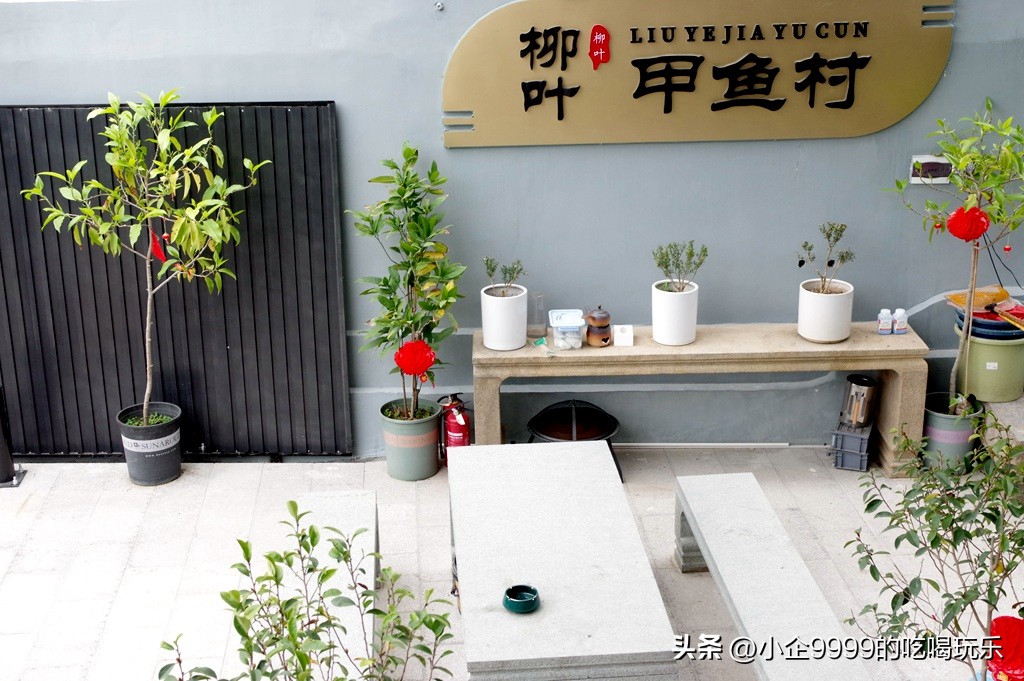 柳叶甲鱼村怎么样,柳叶村甲鱼