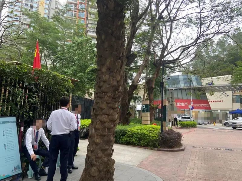 两家物业进驻同一小区,两家物业