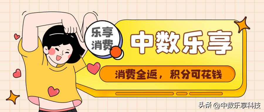 消费1元返利100元,河南消费返利最新政策