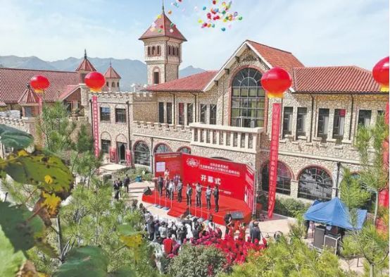 落魄的凤凰不如鸡卡通视频,落魄的凤凰不如鸡对吗