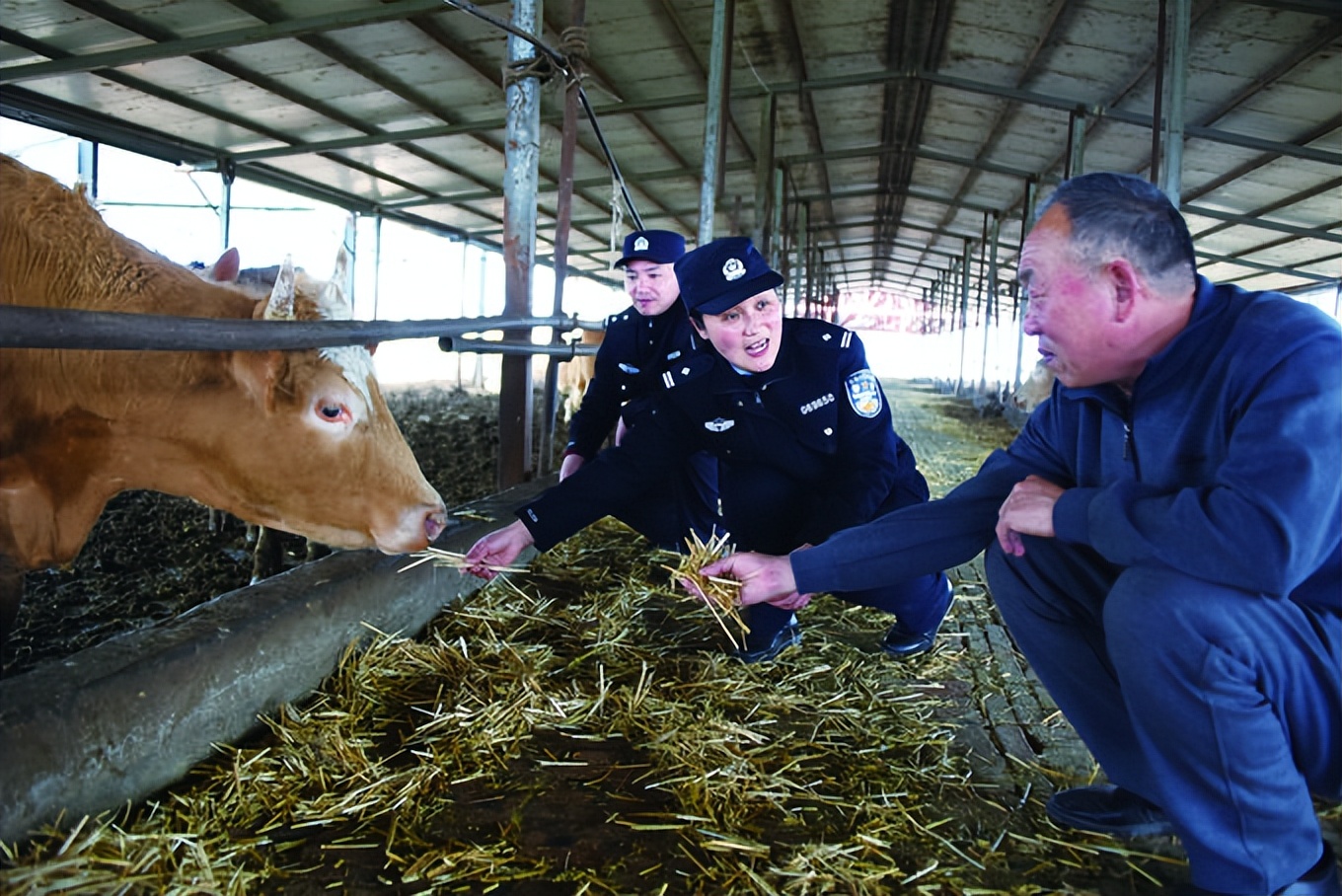 【请人民评议】用平安托起大美乡村各地干部群众高度肯定公安机关助力乡村振兴工作