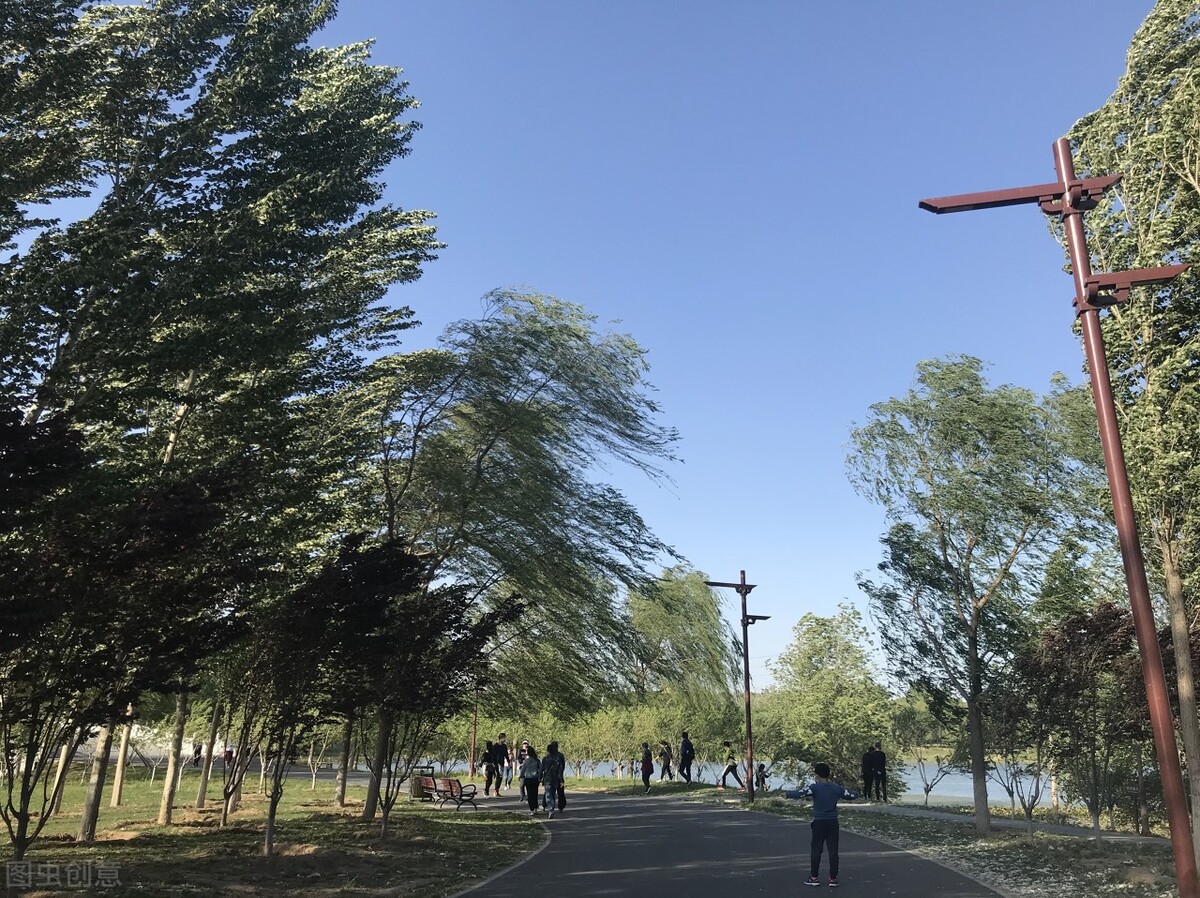 风吹杨柳万千条打一动物,风吹杨柳万千条解析