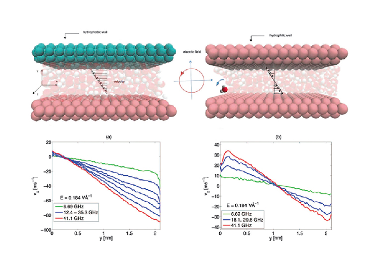 博尔肽治疗前列腺,博尔肽前列腺治疗仪