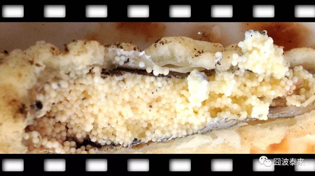 一碗鲜羊杂汤,热乎乎的一碗羊杂汤