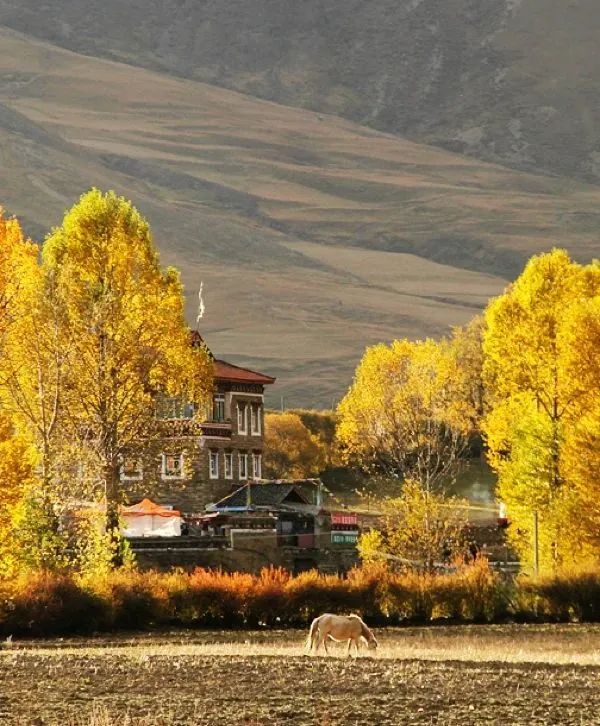 甘孜文旅局长化身侠客火出圈,火出圈啦