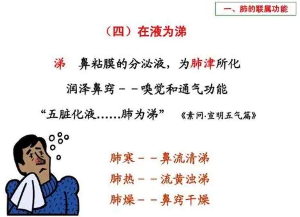感冒怎么正确擤鼻涕,感冒一直擤鼻涕怎么缓解