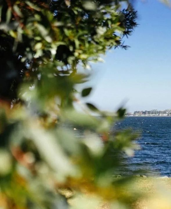 小何夫妇,小何夫妻最新视频