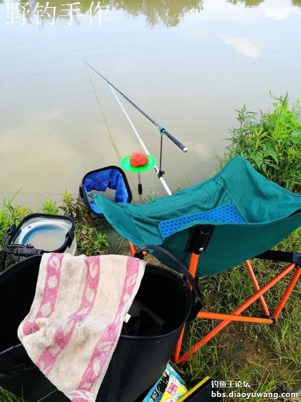 爽钓板鲫，今晚吃鱼