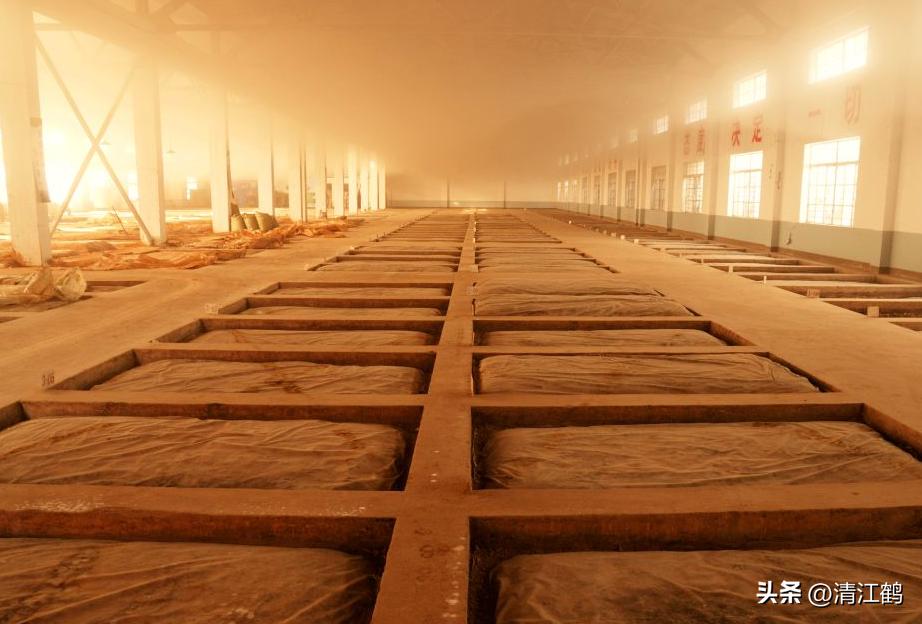 茅台员工品鉴酒怎么辨别真假,2009年2月17号飞天茅台真假鉴别