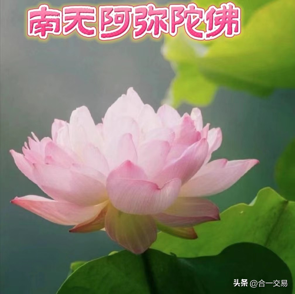 期货日内交易必须学会的知识,股票期货交易的正确观念