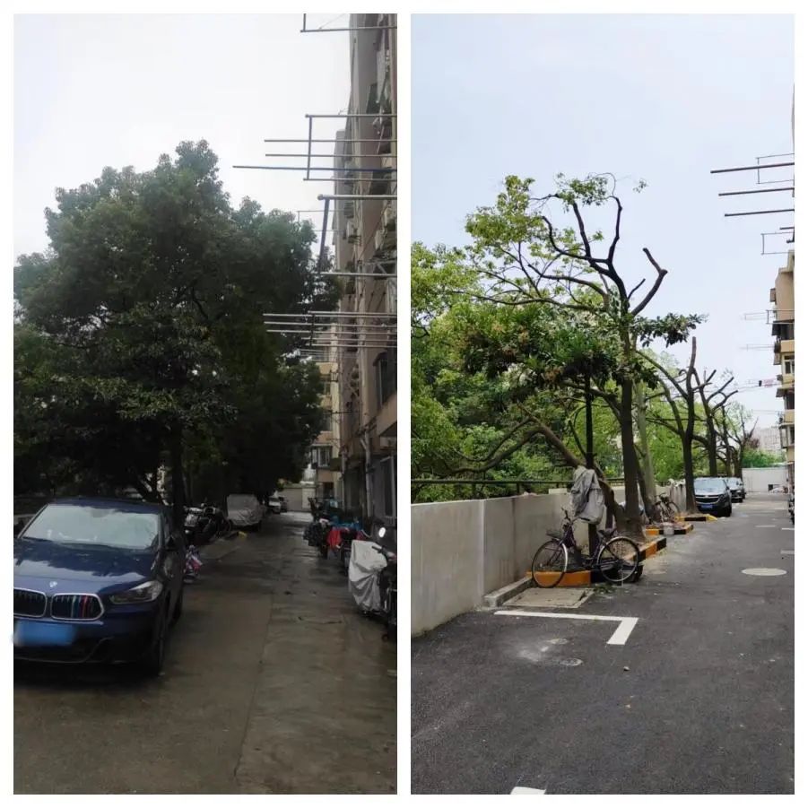 老小区的美景,老小区改造成果赢得居民点赞
