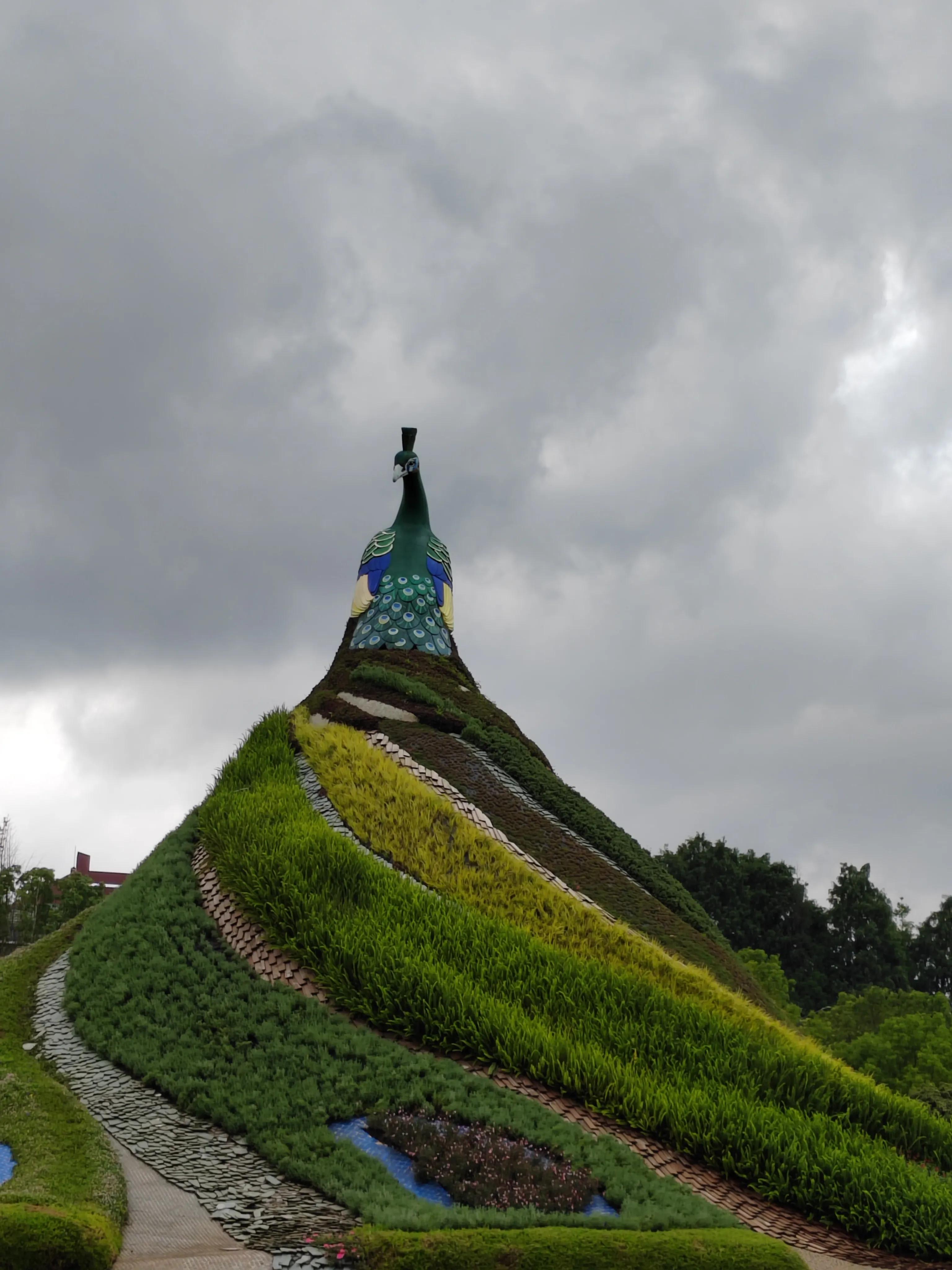与春城昆明的再次邂逅，让这个盛夏有一抹清凉