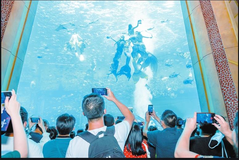 塑身健体的美人鱼潜水