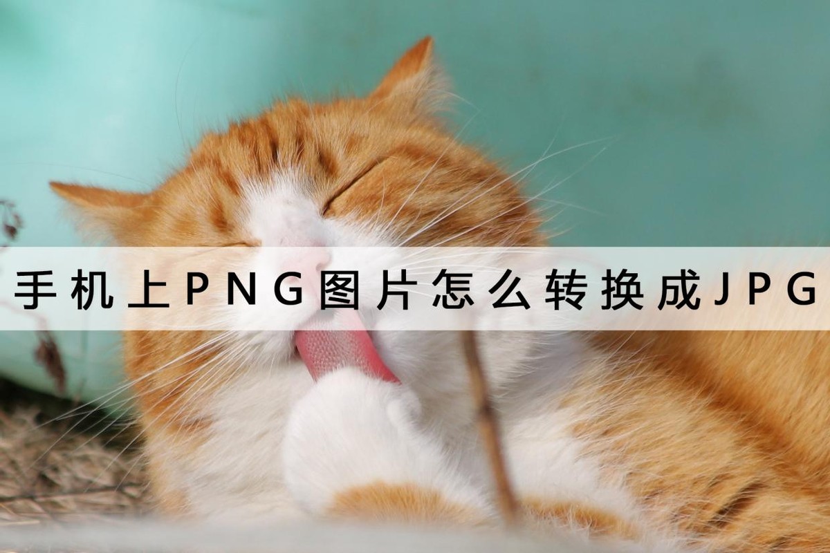 手机png转换成jpg,手机图片png怎么转换成jpg