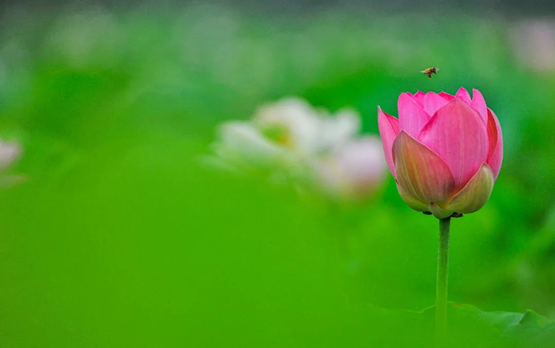 2023县域旅游百强榜各省份排名,2021县域旅游100强排行榜