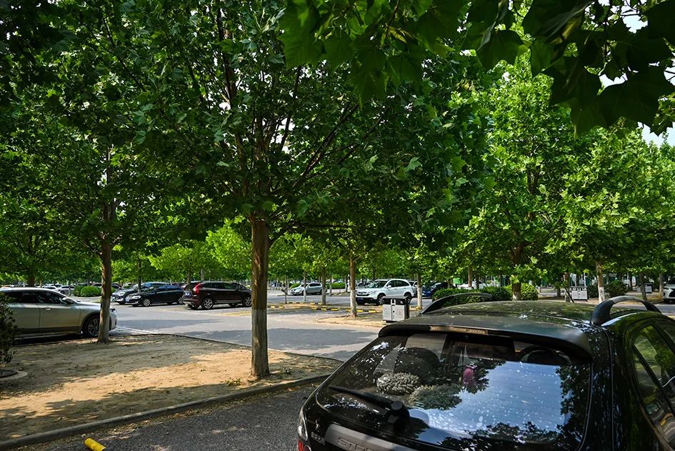 北京免费景美公园大全,北京这个公园也很美