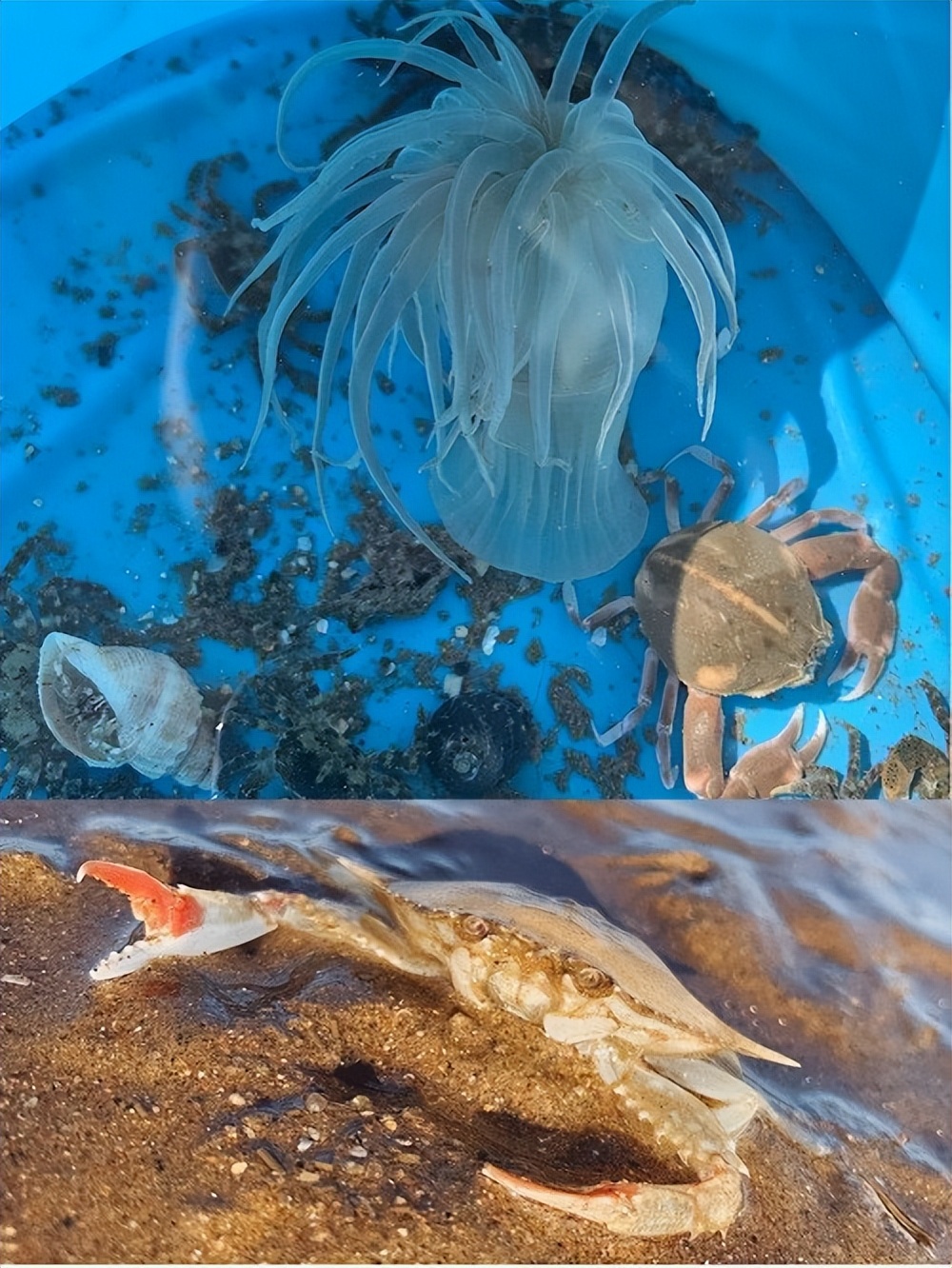 青岛旅游5天费用多少钱,去青岛旅游攻略和费用是多少