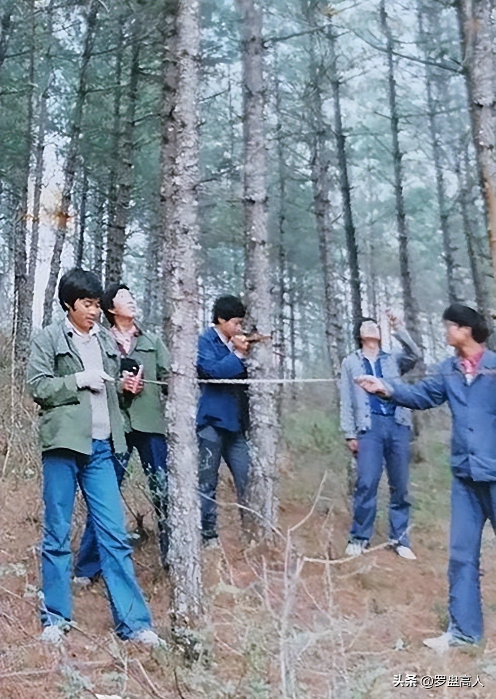 高校校园影像,高校美景照片视频