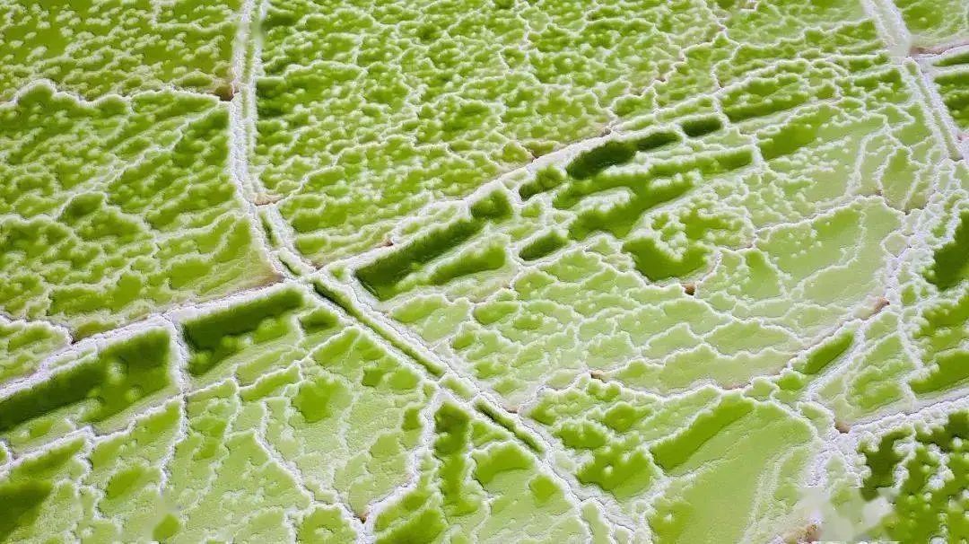 青海现在值得去吗,青海不容易去吗