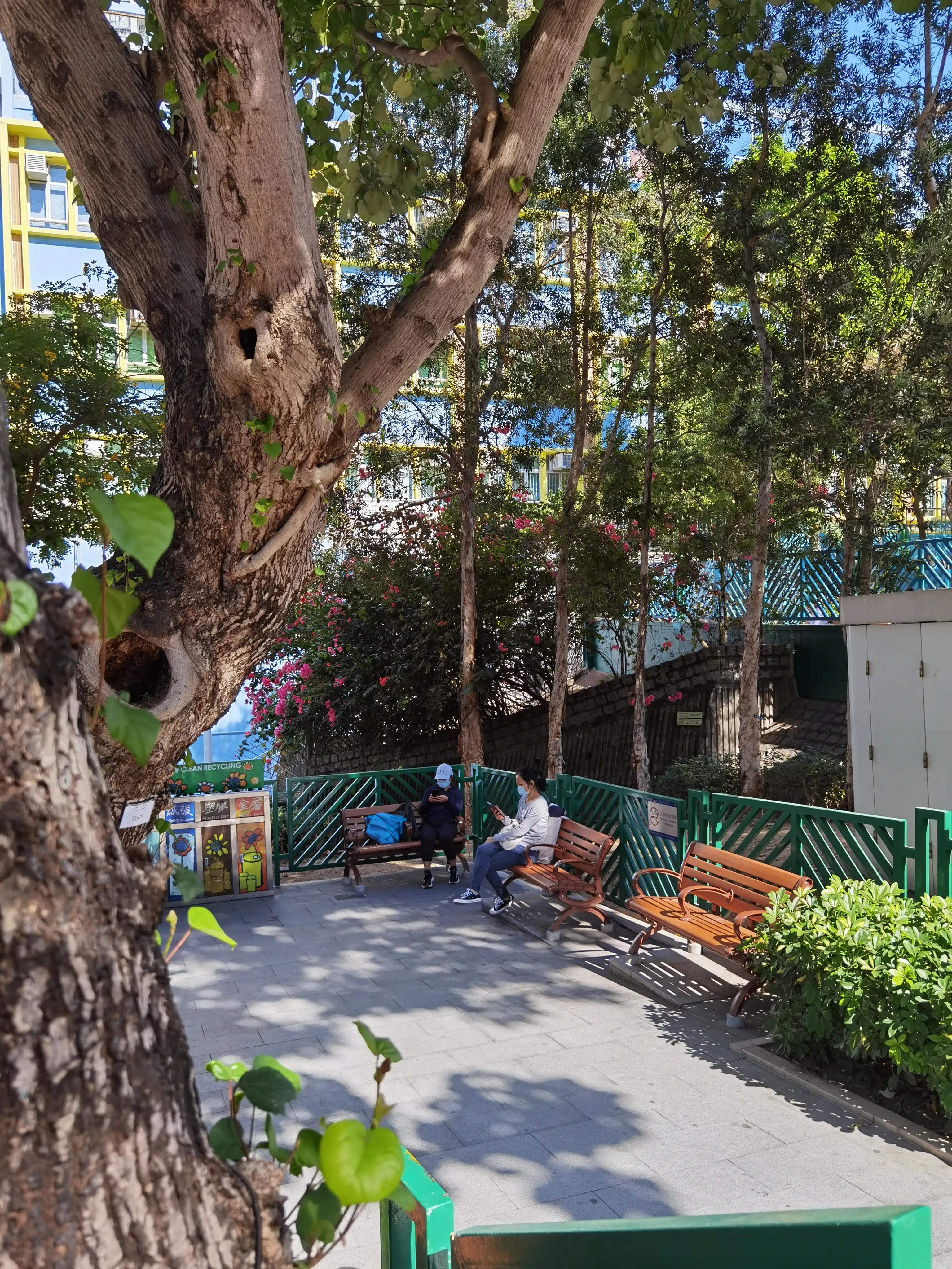 香港的城市空间布局,香港的城市屋