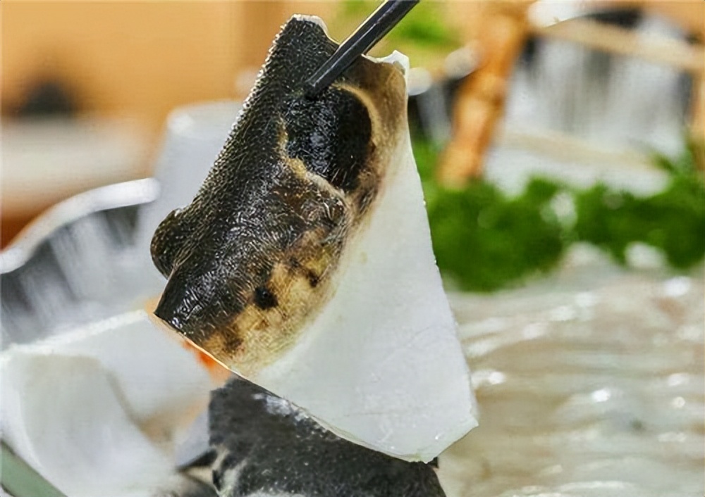 河豚毒性,河豚为什么吃了有毒的食物不中毒