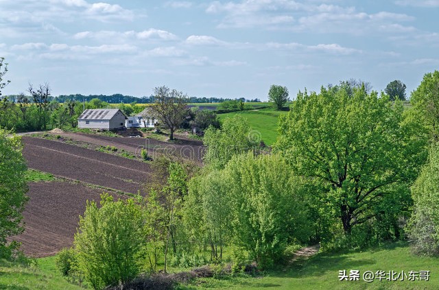 农村个人宅基地自建房国家政策,农村宅基地占用耕地政策
