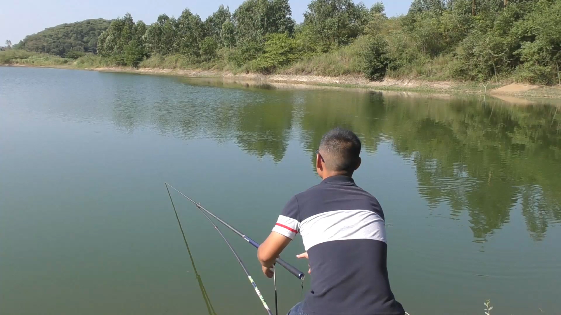 草鱼密度小怎么诱鱼,草鱼习性的解读及钓法技巧