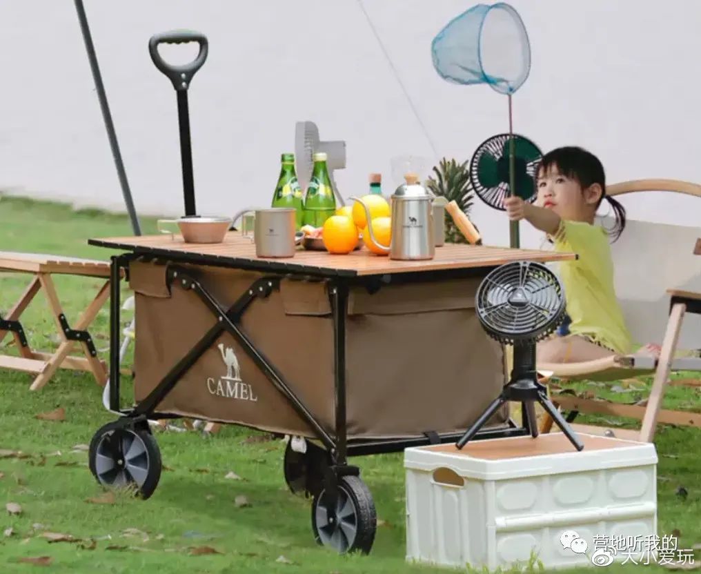 纠结买两百多的云台还是九百多的,纠结买不买野餐帐篷